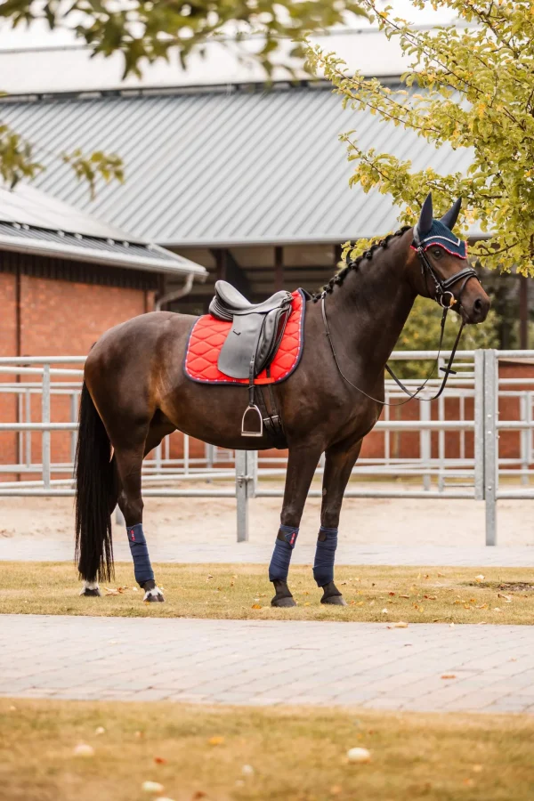 B Vertigo Amory Dressage Saddle Pad with Monogram Embroidery