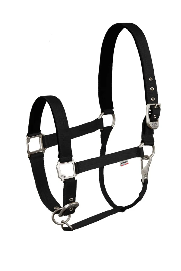 B Vertigo Hardwick Halter