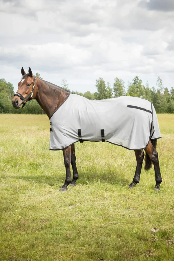 Back on Track Butzer Fly Rug without Hood