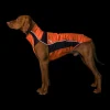 Back on Track Eddie High-Visibility Jumper, 40-45cm