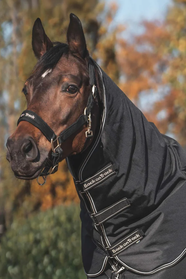 Back on Track Obsidian Turnout Rug With Detachable Neck, 150g