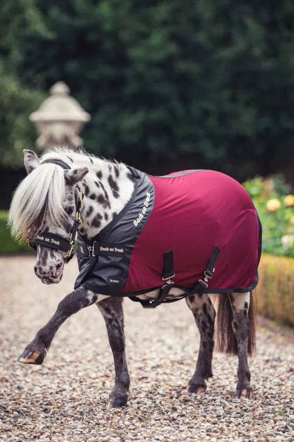 Back on Track Royal Pony Mesh Rug Deluxe