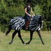 Bucas Buzz-Off Zebra Fly- and Riding Rug