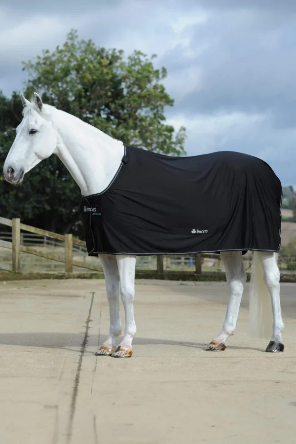 Bucas Power Cooler + Neck Set