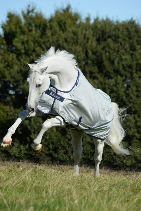 Bucas Power Turnout Rug with Big Neck, 0g