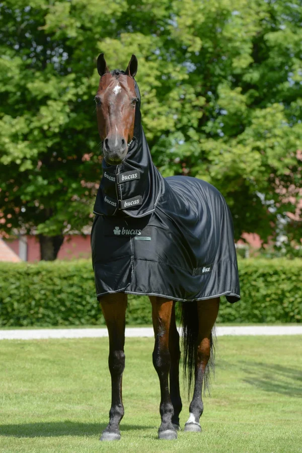 Bucas Shamrock Power Rug with Full Neck