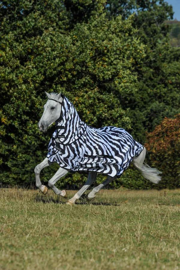 Bucas Sweet-Itch Zebra Rug with Fixed Neck