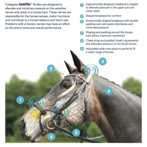 Collegiate ComFiTec Crystal Bridle