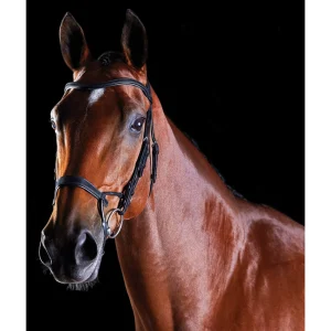 Collegiate ComFiTec Training Bridle