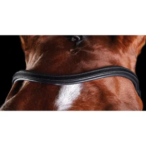 Collegiate ComFiTec Training Bridle