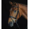 Collegiate Comfort Crown Padded Raised Flash Bridle