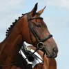 Collegiate Syntovia+ Padded Raised Cavesson Bridle