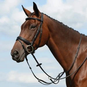 Collegiate Syntovia+ Plain Flat Running Martingale