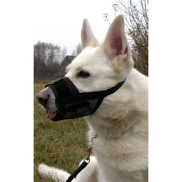 Dogman Muzzle, nylon