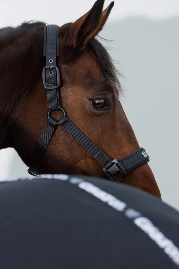 Eskadron Dynamic SS24 Double-Pin Headcollar