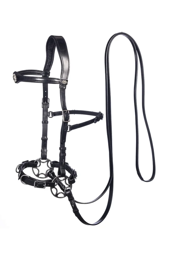 F.R.A. Freedom Riding Articles Caval Compl. Cavemore Bridle English Leather (Syst.2) Shire