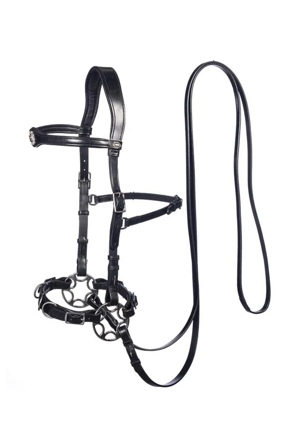 F.R.A. Freedom Riding Articles Caval Compl. Cavemore Bridle (Syst.2) w/ Scissors & Reins