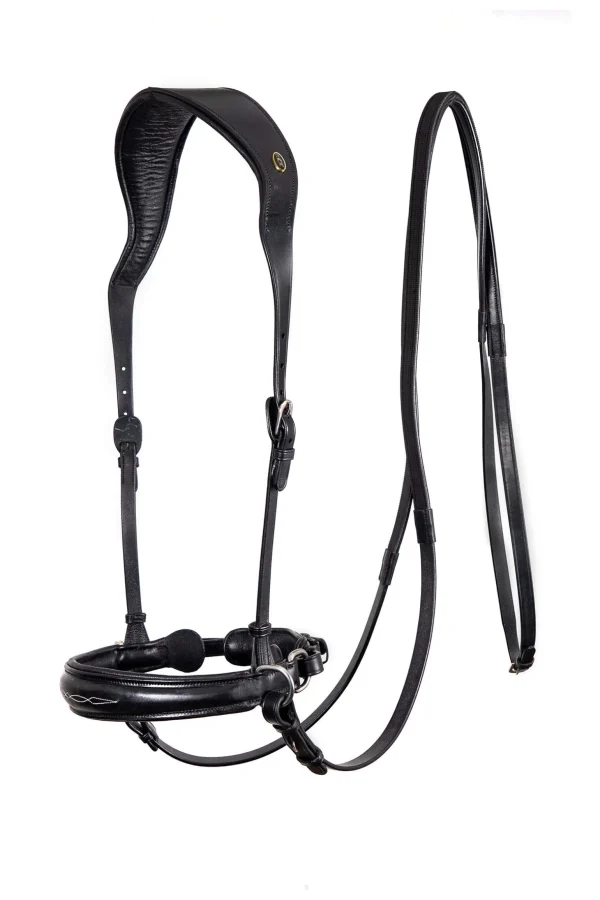 F.R.A. Freedom Riding Articles Alizée Mistral Bitless Bridle With Reins (System 3)