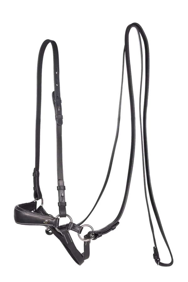 F.R.A. Freedom Riding Articles Lami Bitless Bridle (System 4) w/ Reins & Studhook Connect