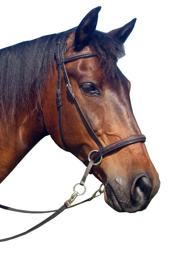 F.R.A. Freedom Riding Articles Ulan Bitless Bridle (System 5) Leather w/ Leather Reins