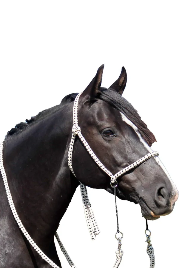 F.R.A. Freedom Riding Articles Nanouk Bitless Bridle (System 4) Cotton w/ Clip Reins