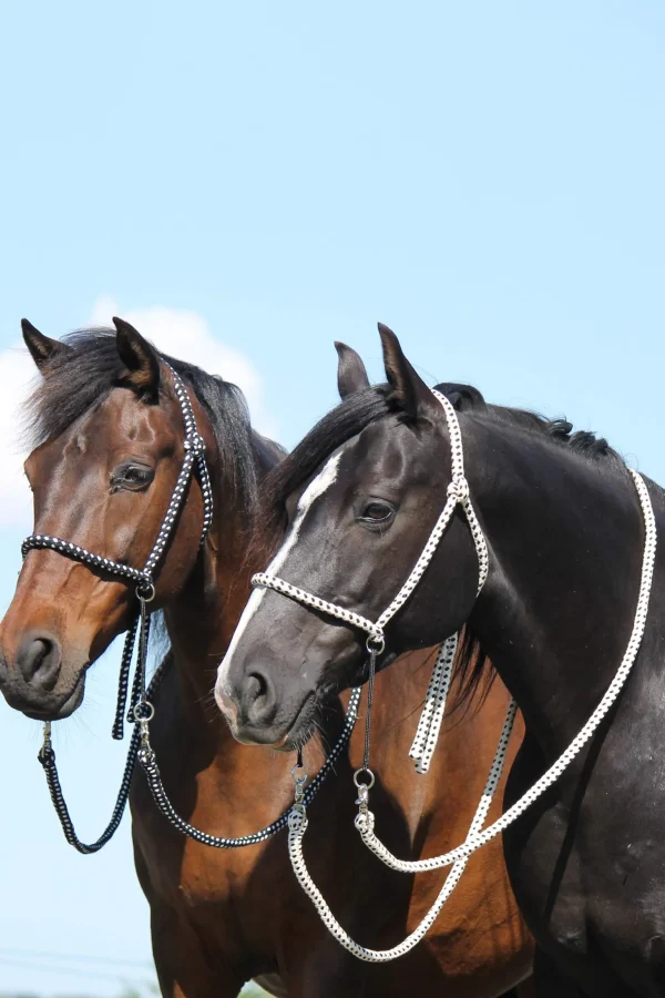 F.R.A. Freedom Riding Articles Nanouk Bitless Bridle (System 4) Cotton w/ Clip Reins