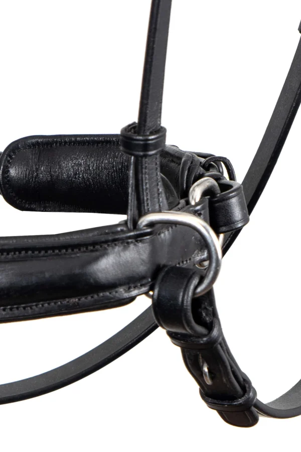 F.R.A. Freedom Riding Articles Alizée Mistral Bitless Bridle With Reins (System 3)