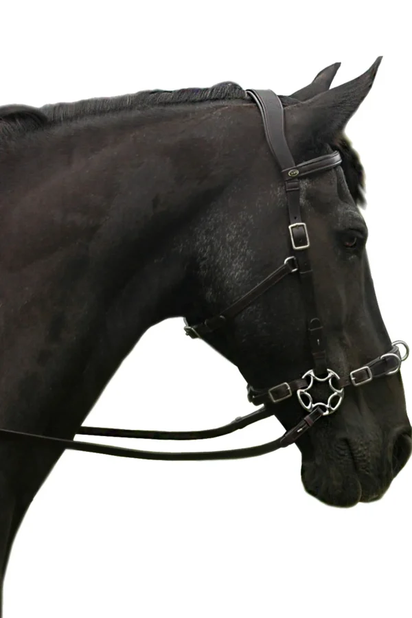 F.R.A. Freedom Riding Articles Caval Compl. Cavemore Bridle English Leather (Syst.2) Shire