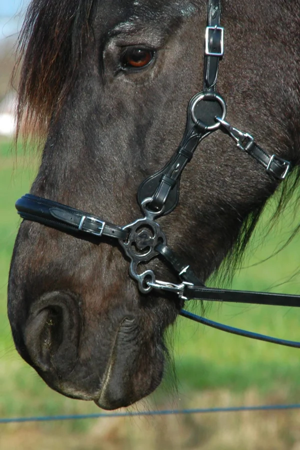 F.R.A. Freedom Riding Articles Calli Hackamore Bridle With Reins (System 2)