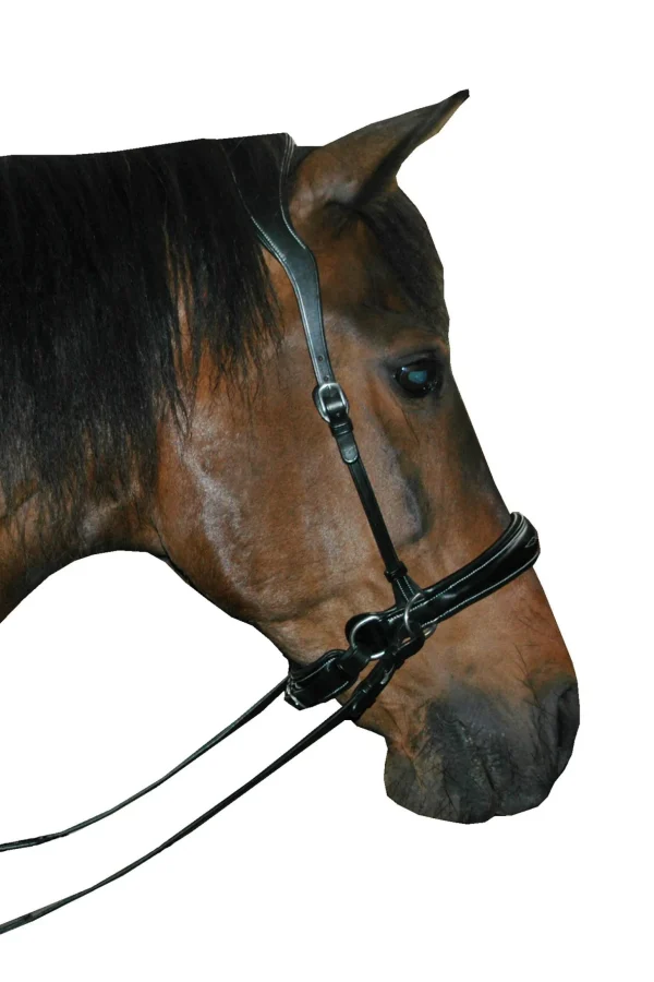 F.R.A. Freedom Riding Articles Alizée Mistral Bitless Bridle With Reins (System 3)