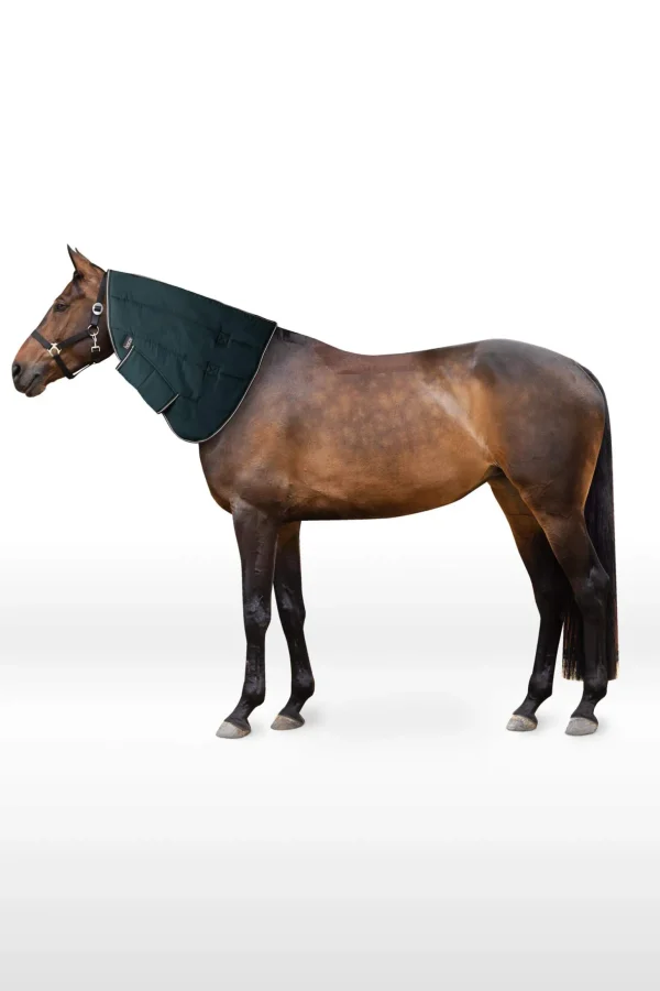 Glasgow pony stable rug hood