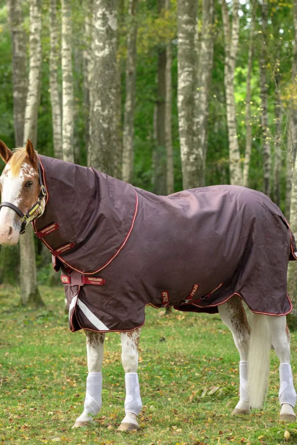 Horseware Amigo Bravo 12 Plus Turnout Rug With Detachable Neck, 100g