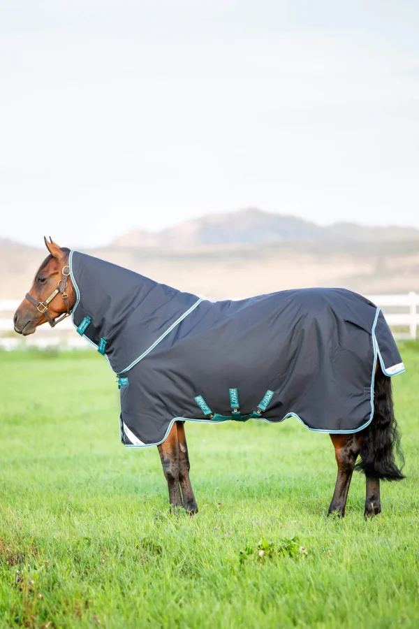 Horseware Amigo Bravo 12 Plus Turnout Rug, 250g