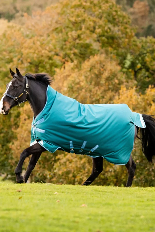 Horseware Amigo Bravo 12 Wug Turnout Rug With High Neck, 0g