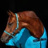 Horseware Amigo Head collar