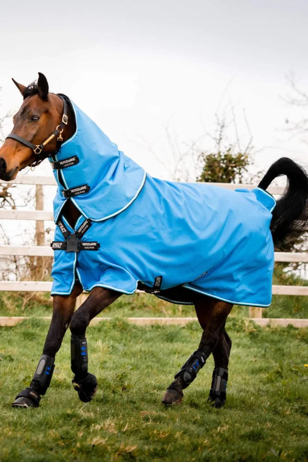 Horseware Amigo Hero 900 Plus Turnout incl. Detachable Hood, 200g