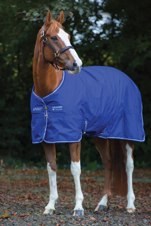 Horseware Amigo Hero 900 Plus Medium Turnout Rug, 200g