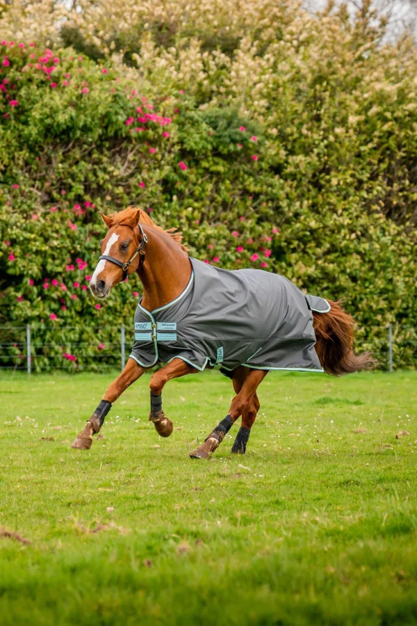 Horseware Amigo Hero Ripstop Plus Turnout Rug With Detachable Neck, 200g