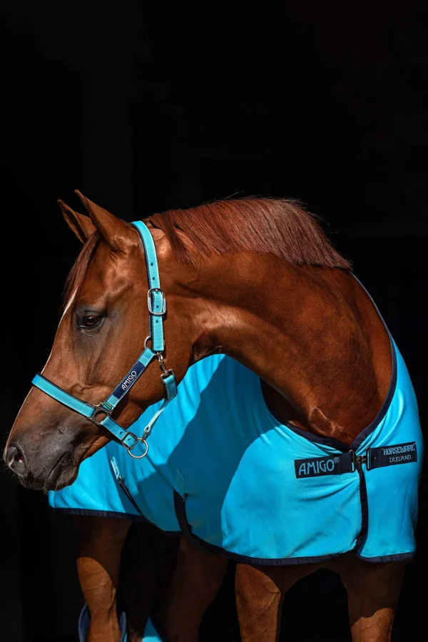 Horseware Amigo Jersey Cooler