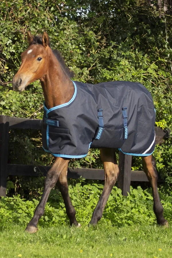 Horseware Amigo Ripstop Foal Rug, 50g