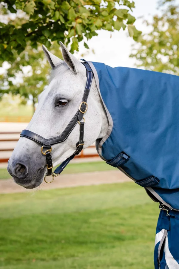 Horseware Ionic Therapy Turnout Hood 0g