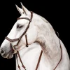 Horseware Micklem 2 Competition Bridle With Rubber Reins