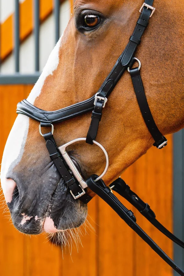 Horseware Micklem 2 Deluxe Competition Bridle