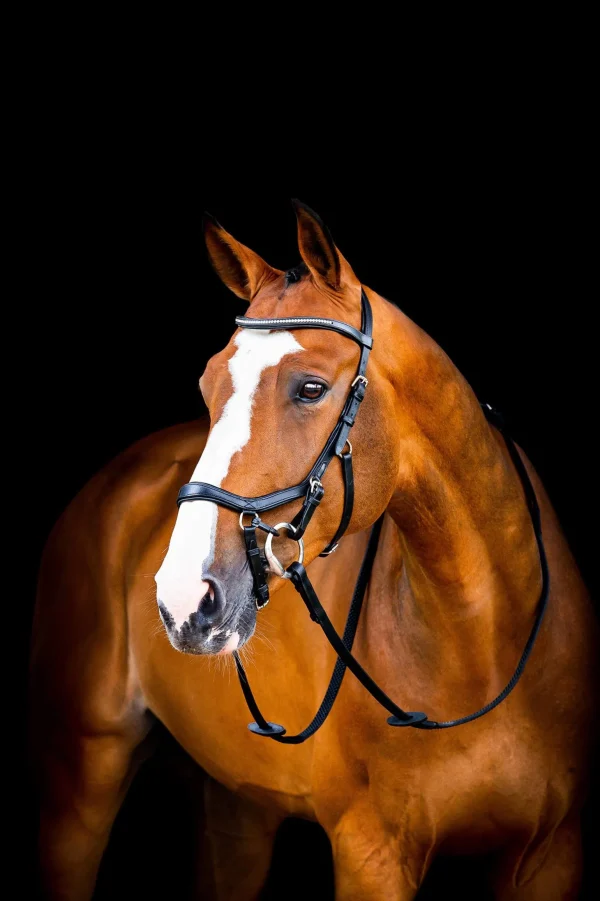 Horseware Micklem 2 Diamante Competition Bridle