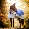 Horseware Rambo Autumn Series Turnout Rug With Liner (0g / 100g)