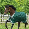 Horseware Rambo Original Turnout with Leg Arches, 0g