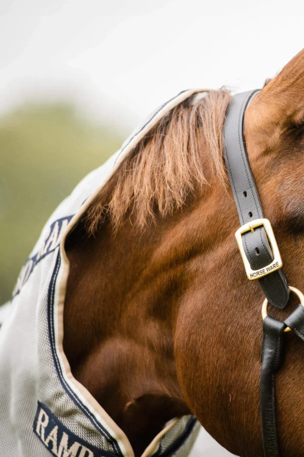 Horseware Rambo Protector Fly Rug With Detachable Neck