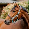 Horseware Signature Competition Headcollar