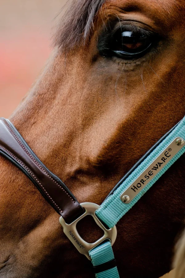 Horseware Signature Competition Headcollar