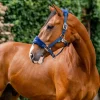 Horseware Signature Grooming Headcollar